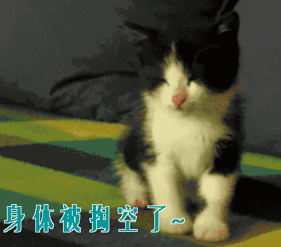 宝宝脾胃养护食谱书_宝宝脾胃营养餐_健脾胃宝宝餐