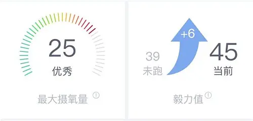 手表有氧适能_有氧运动专业手表_运动手表测血氧的原理
