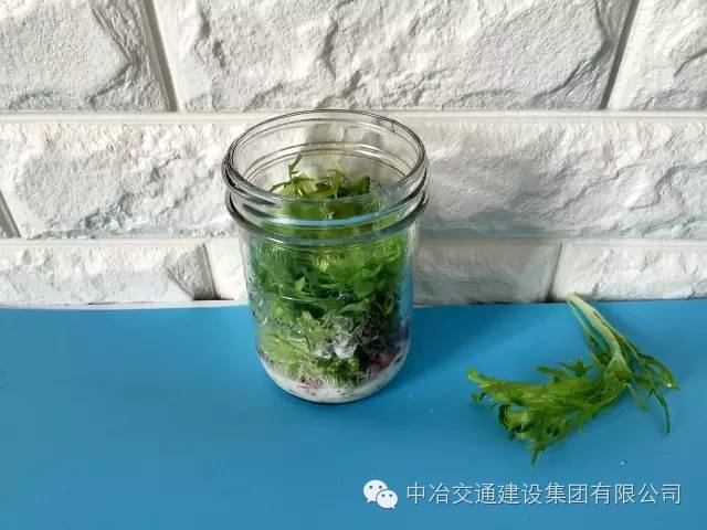 食物营养配餐_营养餐食搭配表_美食搭配营养餐